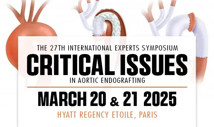 Critical Issues in Aortic Endografting 